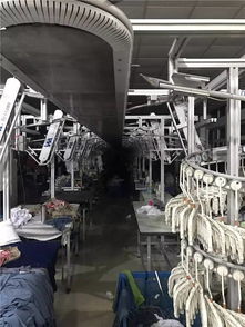 4.18内附工厂谍照 大制作 保真必入款 三款齐发,ad最经典的针织运动裤bq8742 b47210 logo款 bq9090
